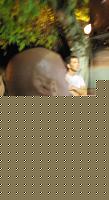 Click image for larger version

Name:	Attorno (96).JPG
Views:	112
Size:	133.4 KB
ID:	15880133