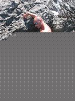 Click image for larger version

Name:	Photo Ricordo x Ezio Lecce (8).jpg
Views:	98
Size:	446.5 KB
ID:	15880209