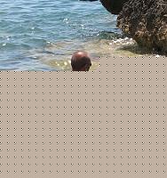 Click image for larger version

Name:	Photo Ricordo x Ezio Lecce (14).jpg
Views:	89
Size:	261.7 KB
ID:	15880217