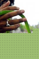 Click image for larger version

Name:	weze_w_nosie_03.jpg
Views:	52
Size:	29.9 KB
ID:	15880254