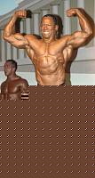 Click image for larger version

Name:	Cat. SMALL  Class XVII° Bermudez Angel (5).jpg
Views:	56
Size:	67.7 KB
ID:	15880391