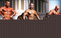 Click image for larger version

Name:	Cat. SMALL  Class Conf. (13).jpg
Views:	151
Size:	49.8 KB
ID:	15880523