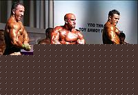 Click image for larger version

Name:	Cat. SMALL  Class Conf. (32).jpg
Views:	328
Size:	40.1 KB
ID:	15880572