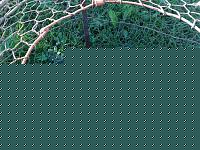 Click image for larger version

Name:	20062008470.jpg
Views:	77
Size:	231.6 KB
ID:	15881109
