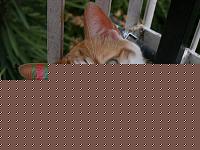 Click image for larger version

Name:	DSCN0352.jpg
Views:	272
Size:	160.4 KB
ID:	15881153