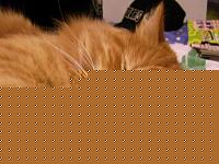 Click image for larger version

Name:	monny.jpg
Views:	263
Size:	237.4 KB
ID:	15881159