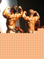 Click image for larger version

Name:	Cat. SMALL  Class Conf. (60).jpg
Views:	154
Size:	207.8 KB
ID:	15881305