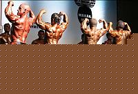 Click image for larger version

Name:	Cat. SMALL  Class Conf. (63).jpg
Views:	160
Size:	49.3 KB
ID:	15881308