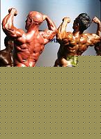 Click image for larger version

Name:	Cat. SMALL  Class Conf. (71).jpg
Views:	115
Size:	45.9 KB
ID:	15881408