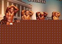 Click image for larger version

Name:	Cat. SMALL  Class Conf. (76).jpg
Views:	61
Size:	135.9 KB
ID:	15881454