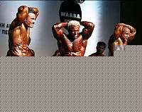 Click image for larger version

Name:	Cat. SMALL  Class Conf. (85).jpg
Views:	112
Size:	33.1 KB
ID:	15881468