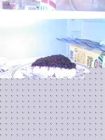 Click image for larger version

Name:	Foto0185.jpg
Views:	95
Size:	76.2 KB
ID:	15881697