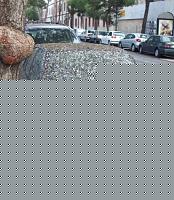 Click image for larger version

Name:	macchina_schitti.jpg
Views:	55
Size:	102.7 KB
ID:	15882958