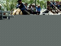 Click image for larger version

Name:	StettlerBR1.jpg
Views:	173
Size:	86.7 KB
ID:	15883058