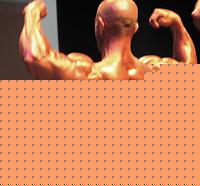 Click image for larger version

Name:	Cat. BB-85Kg II° Dennis Giusto (3).jpg
Views:	97
Size:	53.8 KB
ID:	15883483