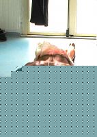 Click image for larger version

Name:	Back l'Atleta Cagnina Alessio.jpg
Views:	63
Size:	153.2 KB
ID:	15883506