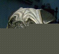 Click image for larger version

Name:	e-carlino 001.jpg
Views:	58
Size:	42.0 KB
ID:	15883615