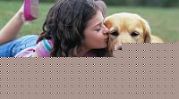 Click image for larger version

Name:	Canide2.jpg
Views:	205
Size:	49.0 KB
ID:	15883622