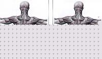 Click image for larger version

Name:	Senza titolo-2.jpg
Views:	141
Size:	48.1 KB
ID:	15883630