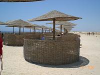 Click image for larger version

Name:	foto mars alam 017 [].jpg
Views:	70
Size:	58.6 KB
ID:	15883631