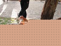 Click image for larger version

Name:	Attorno Buonincontro Domenico .jpg
Views:	764
Size:	363.3 KB
ID:	15883673