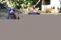 Click image for larger version

Name:	208509488088.jpg
Views:	94
Size:	86.0 KB
ID:	15883731