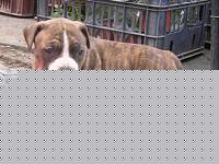Click image for larger version

Name:	roip.jpg
Views:	110
Size:	25.4 KB
ID:	15883732