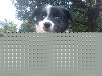 Click image for larger version

Name:	Immag053.jpg
Views:	118
Size:	302.1 KB
ID:	15883736