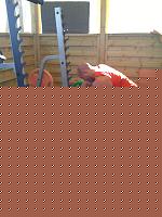 Click image for larger version

Name:	IMG_0035.jpg
Views:	553
Size:	590.8 KB
ID:	15883800