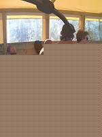 Click image for larger version

Name:	IMG_0041.jpg
Views:	371
Size:	501.6 KB
ID:	15883806