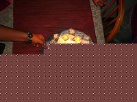 Click image for larger version

Name:	compleanno filippo 057 [].jpg
Views:	57
Size:	35.8 KB
ID:	15883877