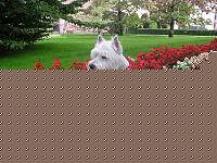 Click image for larger version

Name:	P1010187.jpg
Views:	67
Size:	863.8 KB
ID:	15883964