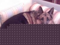 Click image for larger version

Name:	SP_A0081.jpg
Views:	67
Size:	52.4 KB
ID:	15884751