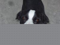 Click image for larger version

Name:	milo migliore.jpg
Views:	77
Size:	63.4 KB
ID:	15884753