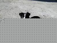 Click image for larger version

Name:	milo migliore 2.jpg
Views:	83
Size:	166.3 KB
ID:	15884754