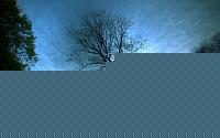 Click image for larger version

Name:	silence_2560x1600.jpg
Views:	323
Size:	102.6 KB
ID:	15884789