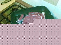 Click image for larger version

Name:	25102008(001).jpg
Views:	140
Size:	142.7 KB
ID:	15885074