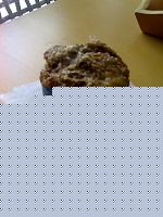 Click image for larger version

Name:	63164d1222691223-obiettivo-io-27-09-08_0858.jpg
Views:	56
Size:	80.0 KB
ID:	15885120