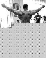 Click image for larger version

Name:	fuxback2.jpg
Views:	74
Size:	41.9 KB
ID:	15887759