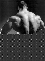 Click image for larger version

Name:	fux14.jpg
Views:	52
Size:	50.1 KB
ID:	15887767