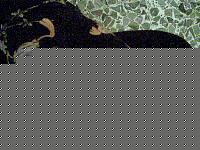 Click image for larger version

Name:	pigiama.jpg
Views:	87
Size:	142.8 KB
ID:	15887822