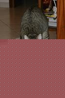 Click image for larger version

Name:	IMG_9239_ridimensionare.jpg
Views:	691
Size:	96.4 KB
ID:	15888288
