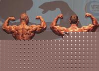 Click image for larger version

Name:	Cat. BB 95Kg Conf. (13).JPG
Views:	755
Size:	69.1 KB
ID:	15888384