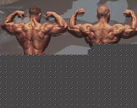 Click image for larger version

Name:	Cat. BB 95Kg Conf. (14).JPG
Views:	899
Size:	75.3 KB
ID:	15888385