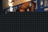 Click image for larger version

Name:	Cat.Miss Shape-30  III° Szantai Dora (126).jpg
Views:	53
Size:	65.5 KB
ID:	15888443
