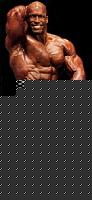 Click image for larger version

Name:	shawnray4.jpg
Views:	96
Size:	17.0 KB
ID:	15888556