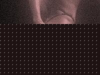 Click image for larger version

Name:	Cat.Figure I° Trevisiol Daniela (20).jpg
Views:	68
Size:	98.0 KB
ID:	15888580