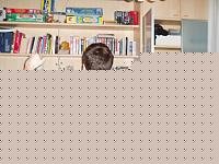 Click image for larger version

Name:	P2082266.jpg
Views:	49
Size:	80.5 KB
ID:	15888849