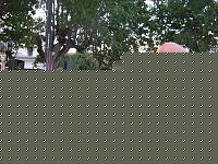 Click image for larger version

Name:	GIURIA.jpg
Views:	977
Size:	153.1 KB
ID:	15888861