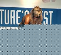 Click image for larger version

Name:	Cat.Miss Shape-30  V° Lasmanaviciute Indre (42).jpg
Views:	42
Size:	80.8 KB
ID:	15888913